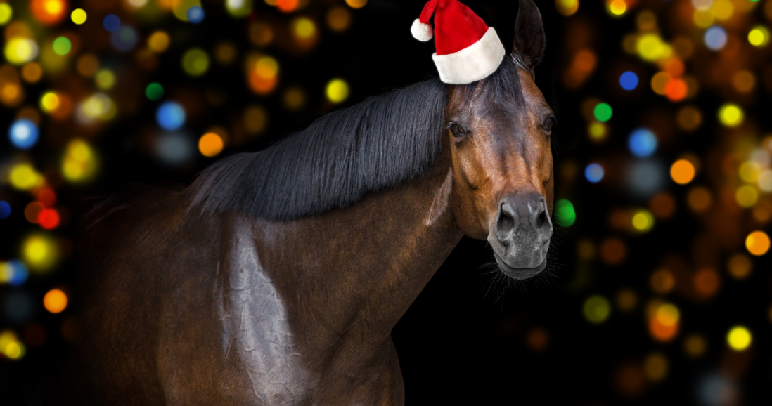 Thoughtful Presents for Equestrian Enthusiasts