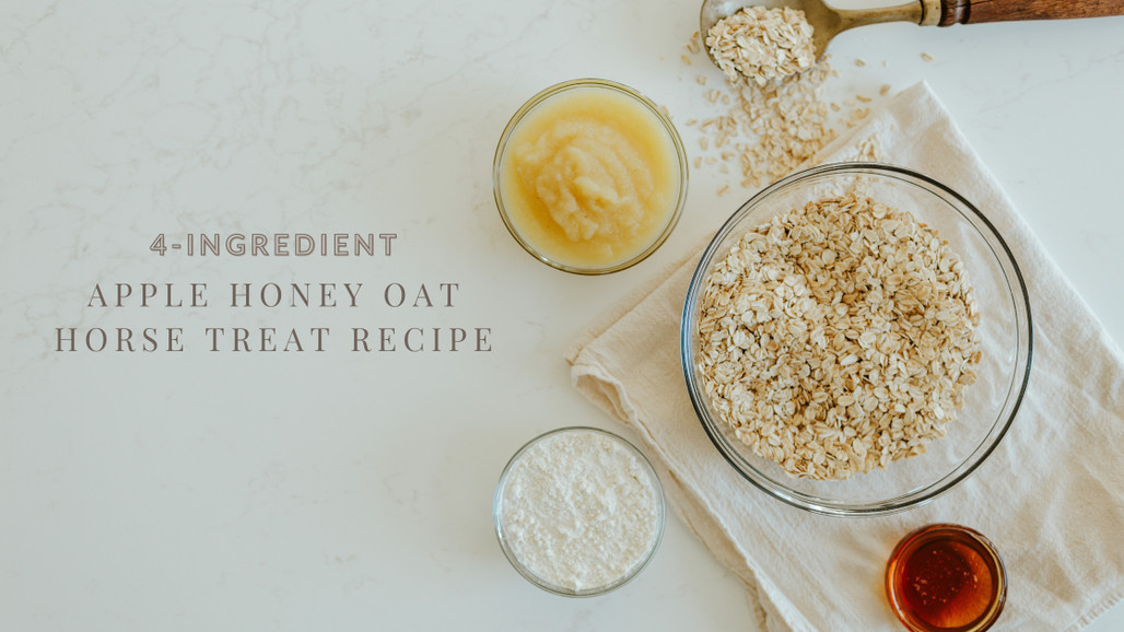 The Best Homemade Horse Treat Recipe: Easy Honey Apple Oat Treats