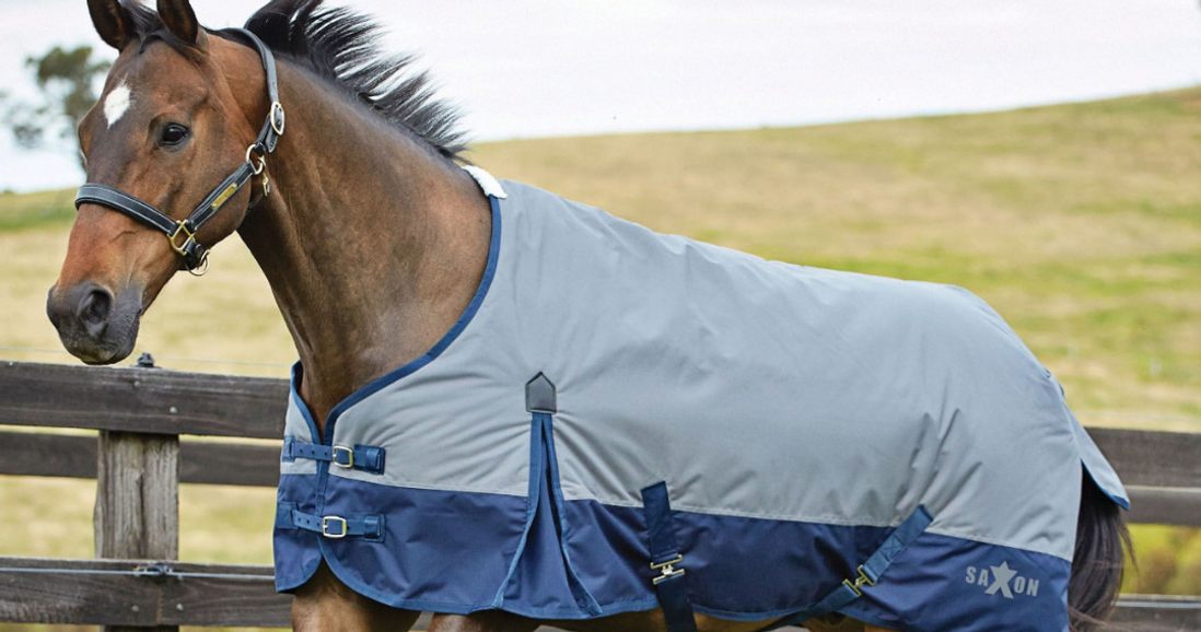 The Ultimate Guide to Choosing the Right Horse Blanket