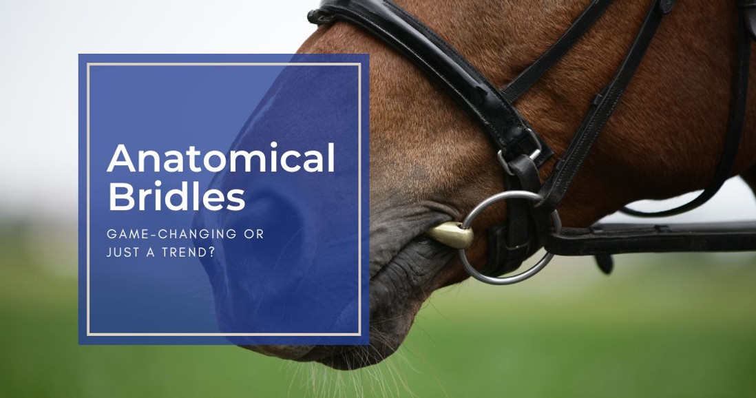 Anatomical Bridles: Game-Changing Or Just A Trend?