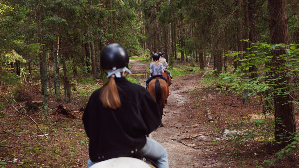 Michigan State Parks to Trail Ride in the Upcoming Season