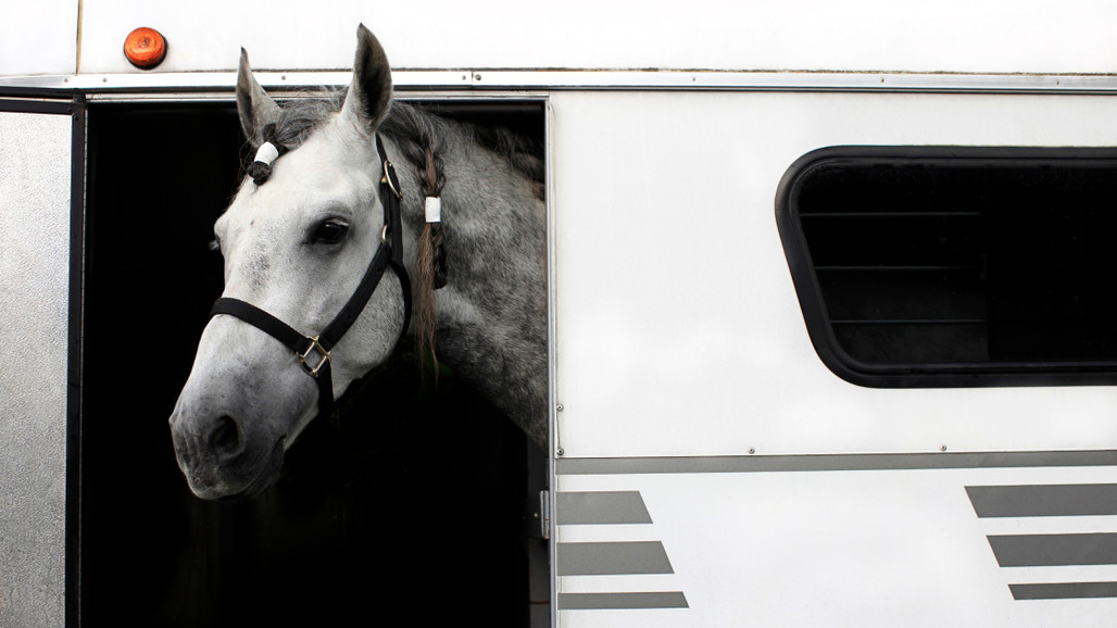 The Ultimate Guide to Horse Trailer Safety: Protecting Horse and Hauler on the Road The Ultimate Guide to Horse Trailer Safety: Protecting Horse and Hauler on the Road