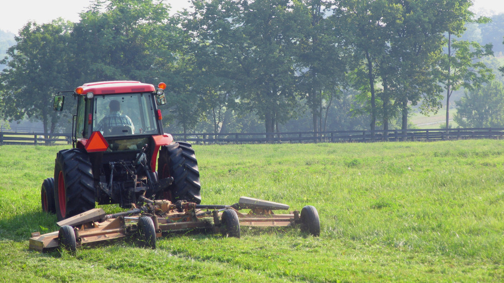 Spring Pasture Management Tips: Preparing Your Pastures for the Season Ahead