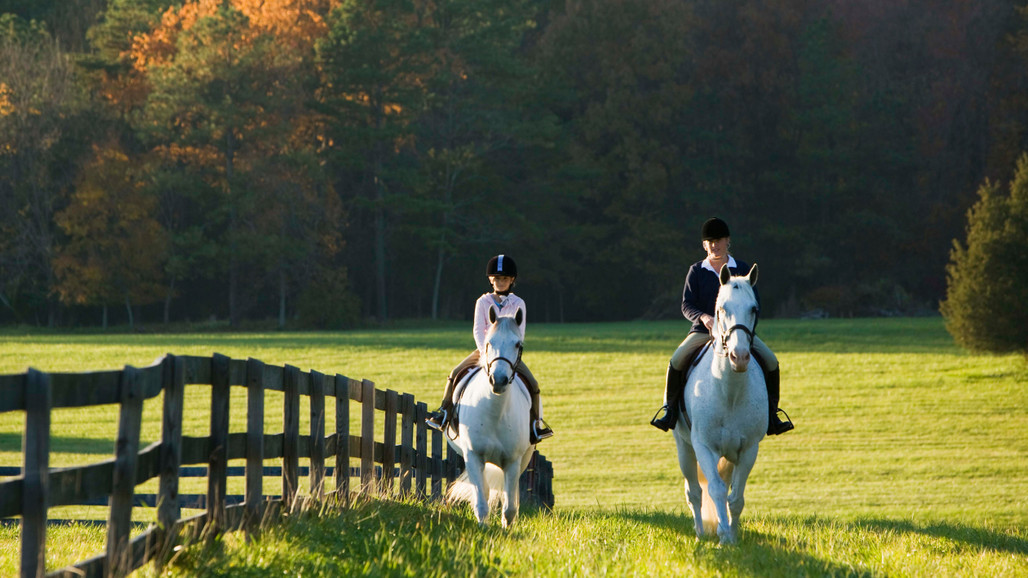 New Fall 2024 Arrivals: Must-Have Riding Gear & Tack