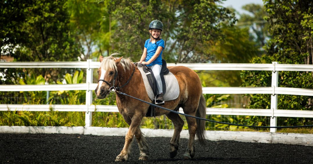 What to Expect During Horse Riding Lessons