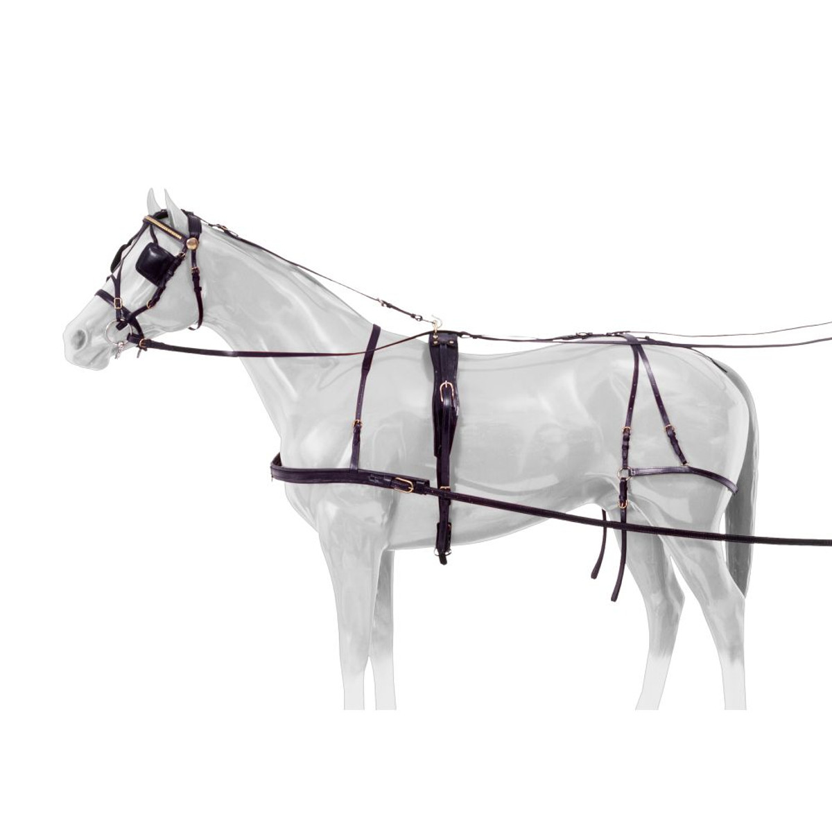 Royal King Leather Harness