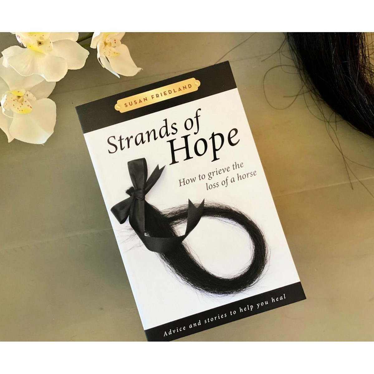 Saddle Seeks Horse Strands of Hope: How To Grieve the Loss of A Horse--Horse Bo