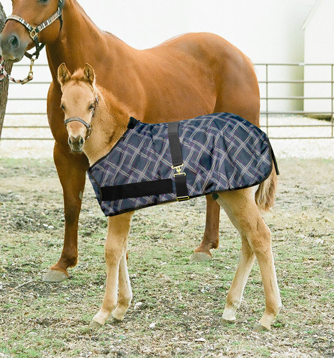 Signature Adjustable Large Foal Turnout Signature Adjustable Large Foal Turnout