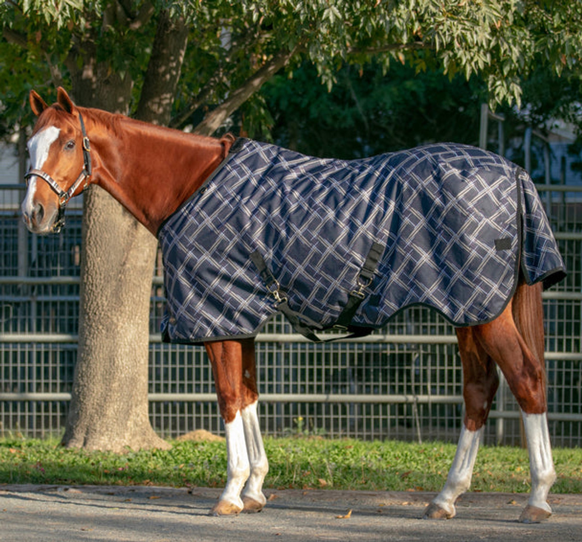 Signature Medium Weight Turnout