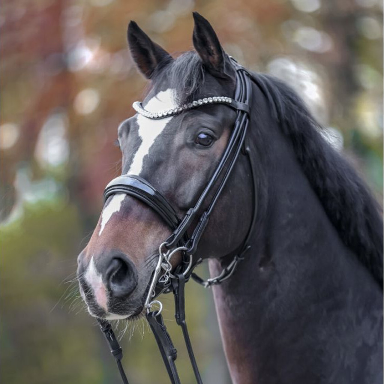 Kavalkade Browband White Rhinestones Black 