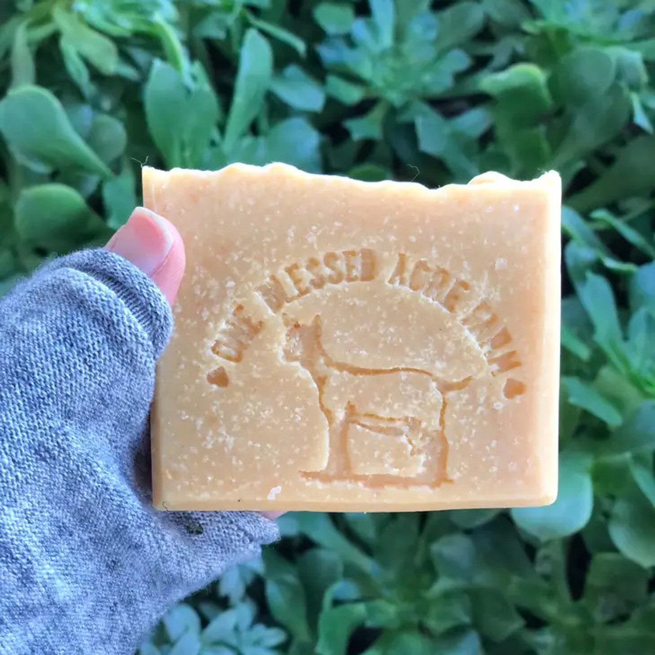 One Blessed Acre Farm Goat Milk Bar Soap - Millbrook Tack