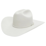 Stetson Silver Grey 6X Skyline Felt Cowboy Hat