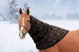 Signature Neck Warmer