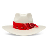 Charlie 1 Horse x Lainey Wilson Dreamcatcher Straw Hat