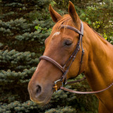 Henri de Rivel Pro Mono Crown Fancy Stitched Padded Bridle w/ Reins