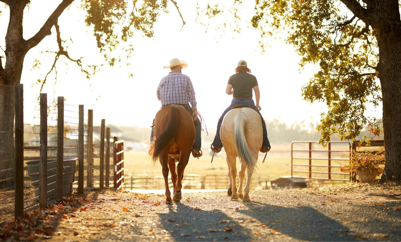 Millbrook Tack | Equestrian Supplies and Expertise