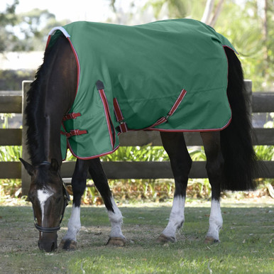 Horsewear - Muzzles, Blankets, Leg Protection