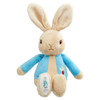 LUXURY BABY TWIN Boys GIFT HAMPER Peter Rabbit