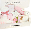 WELCOME TO THE WORLD NEW BABY GIRL GIFT HAMPER Organic Bunny