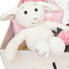 Let The Adventure Begin Luxury Baby Girl Gift Hamper Organic Bunny