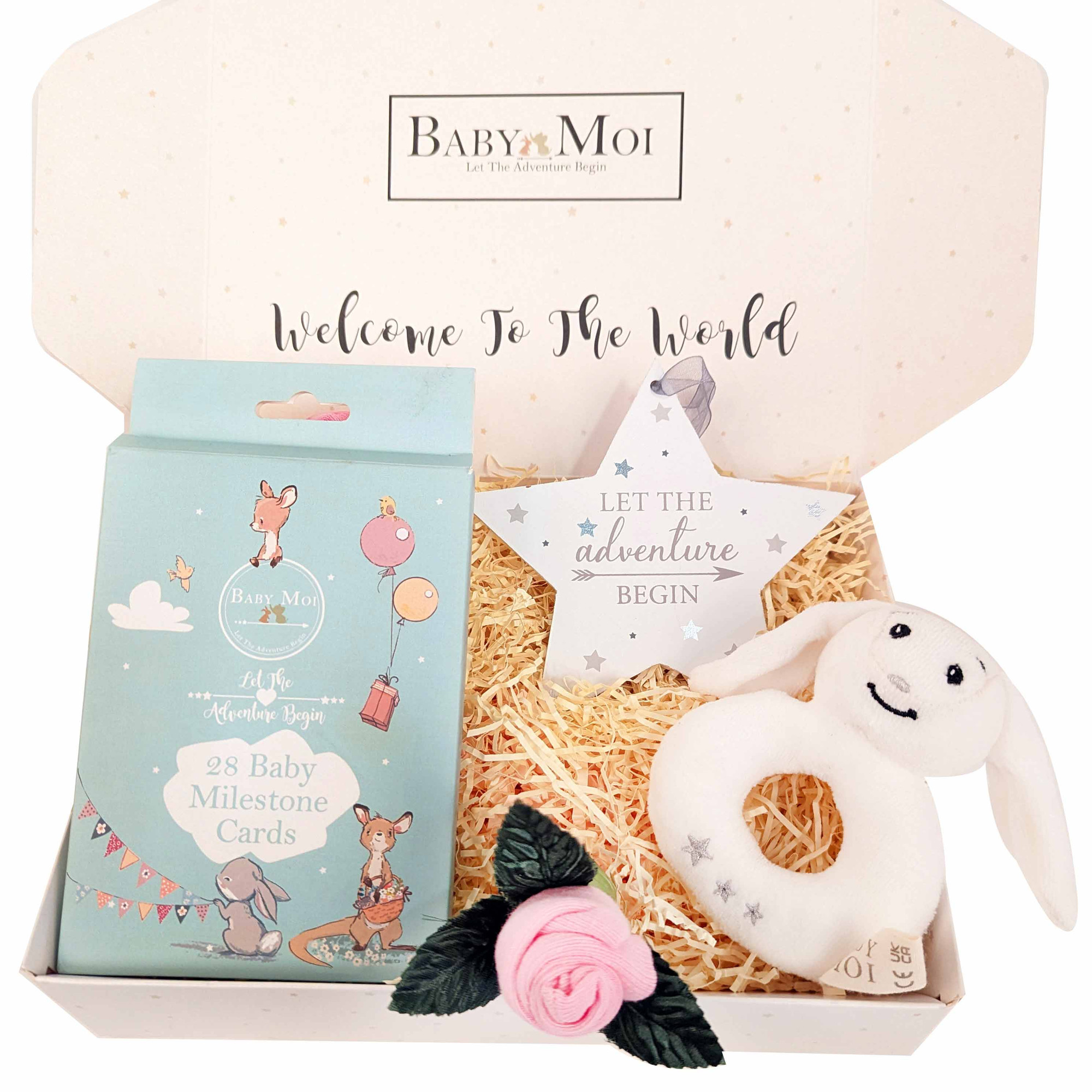 Milestone cards deals baby girl