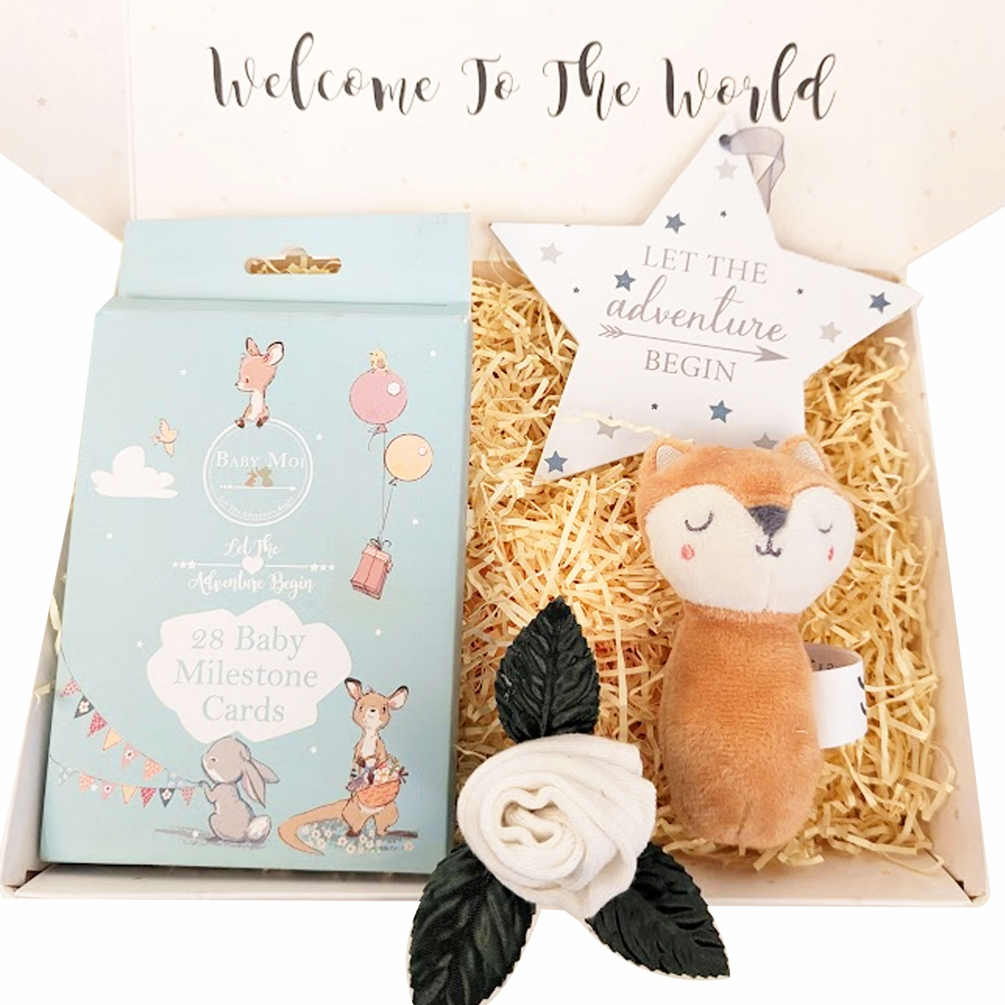 Little Milestones New Baby Gift Box Sleepy Fox