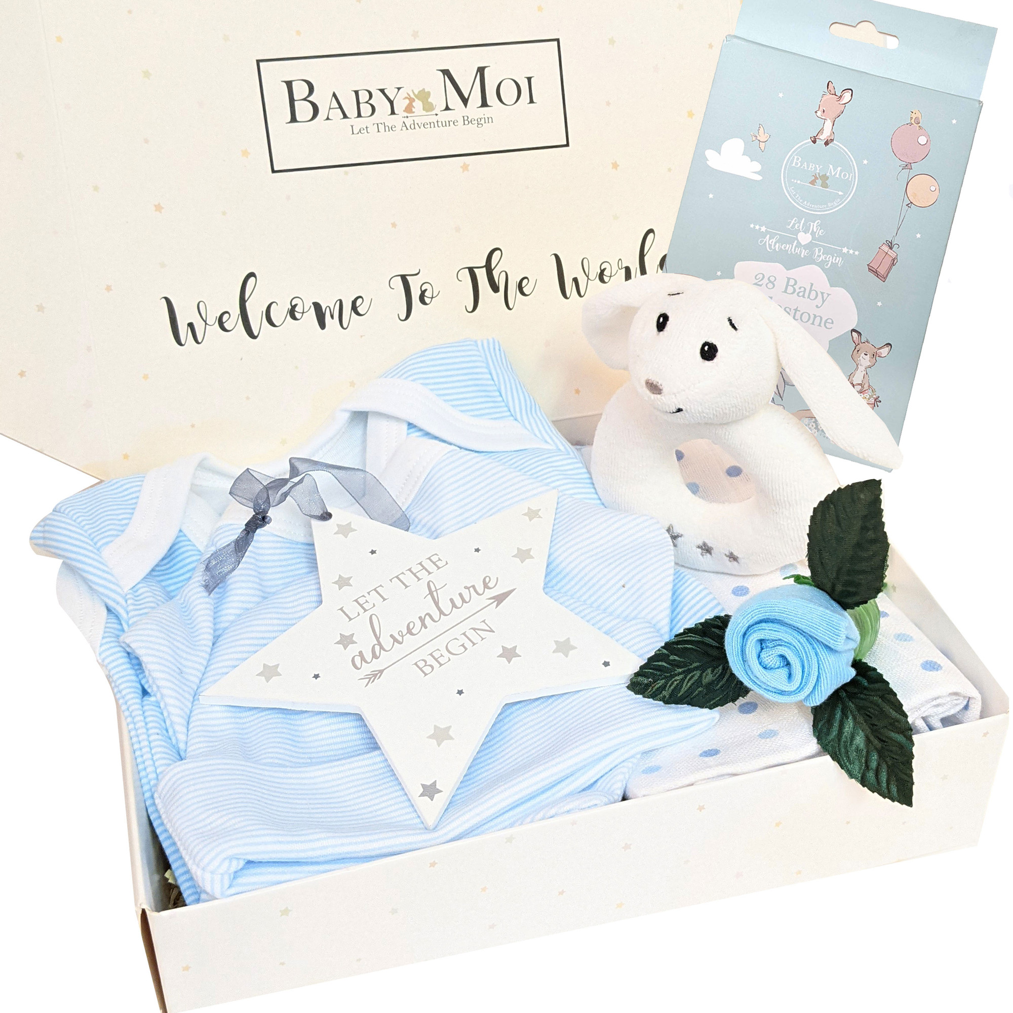 Baby Boy Gift Box Welcome To The World Little One Organic Bunny