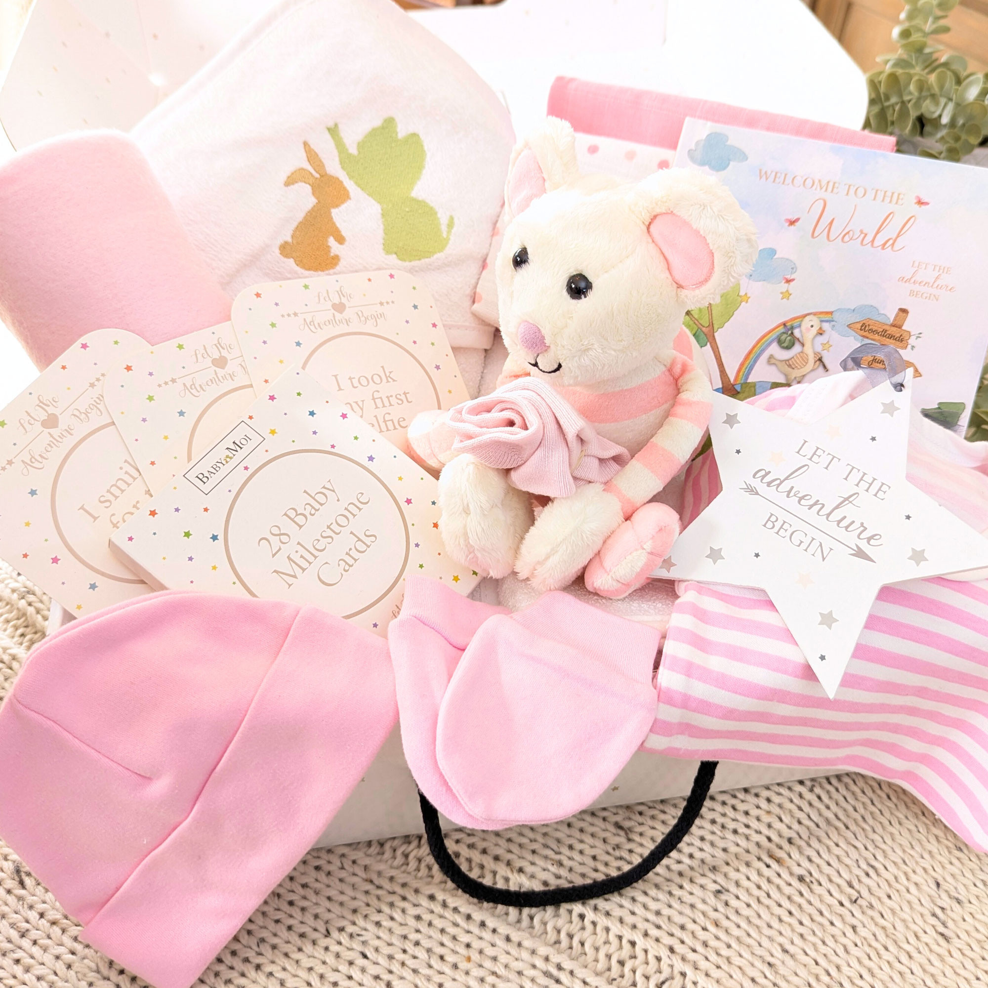 Story Time Newborn Baby girl Gift Hamper Millie Mouse