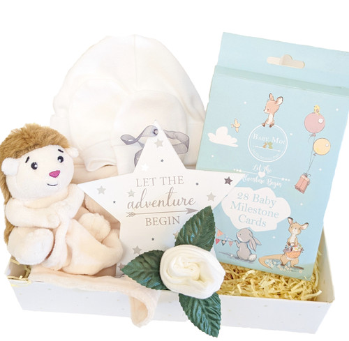 Newborn Baby Gift Set Hedgehog