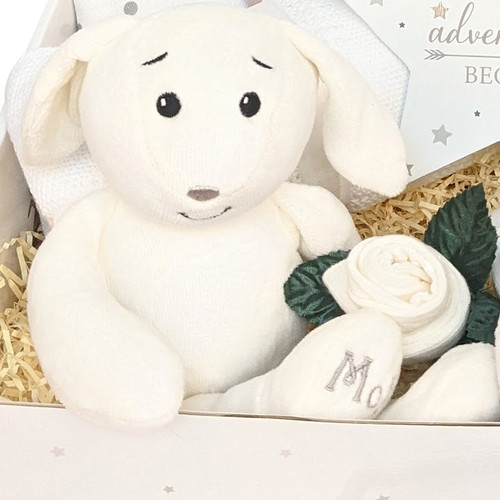 New Mum and Baby Treat Gift hamper Organic Bunny (14pieceset)