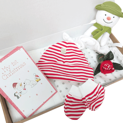 Baby's First Christmas Milestones Gift Box