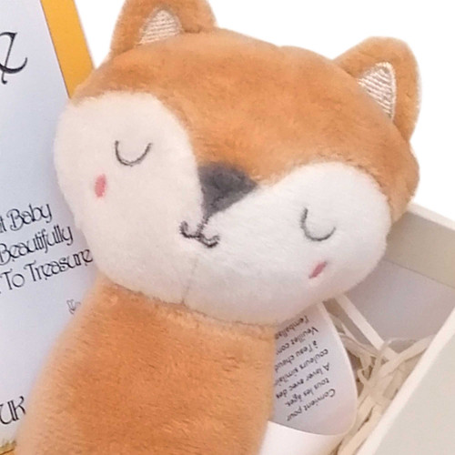 Welcome To the World Let The Adventure Begin Twin Boys Gift The Sleepy Fox