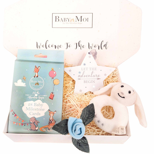 Little Milestones New Baby Boy Gift Box Organic Bunny