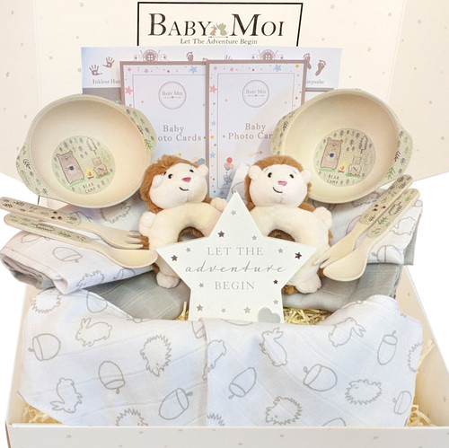 Twin Baby Gift Hamper The Hungry Hedgehogs