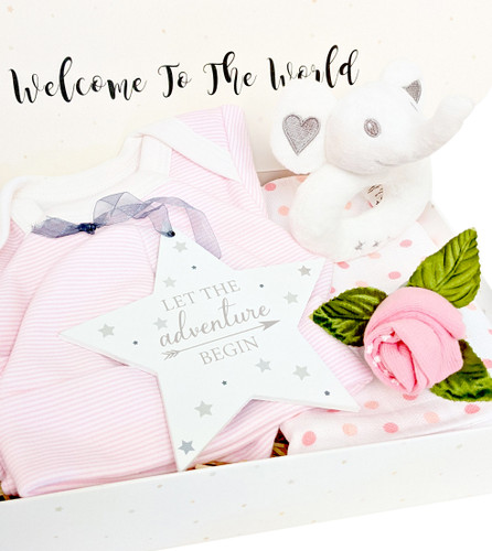 Welcome Little One Girl Gift Box (Elephant)