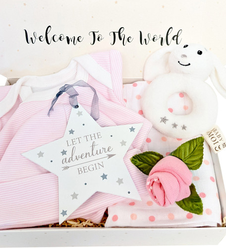 Welcome Little One Baby Girl Gift Box (Organic Bunny)