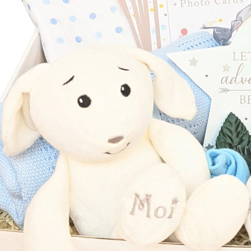 Welcome To The World New Baby Boy Gift Hamper Organic Bunny