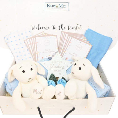 TWIN BOYS WELCOME TO THE WORLD GIFT HAMPER Organic Bunnies