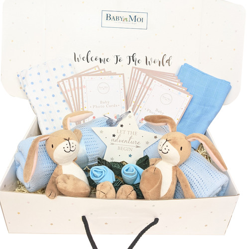 TWIN BOYS WELCOME TO THE WORLD GIFT HAMPER Gmily Hare