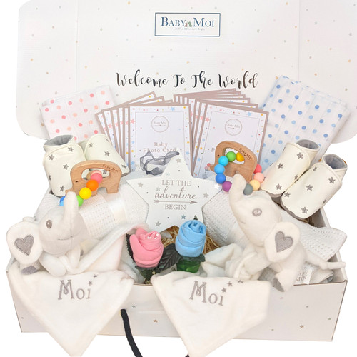 LUXURY TWIN BOY & GIRL BABY GIFT HAMPER LET THE ADVENTURE BEGIN MOI Elephant