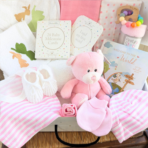 Hello World Baby Girl Gift Hamper - Baby Moi