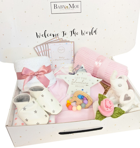 Welcome To The World Baby Girl Gift Basket