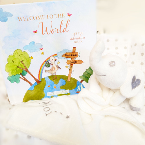 New Baby Gift Box Welcome Little One - Baby Moi