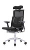 Powerfit Black Frame Mesh W/Headrest chair by Eurotech