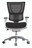 i00 Fabric Seat Mesh Back chair by Eurotech