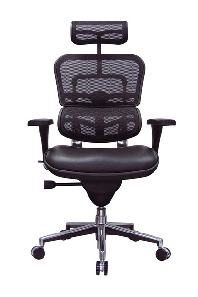 Ergo High Back Leather Seat Mesh Back chair by Eurotech