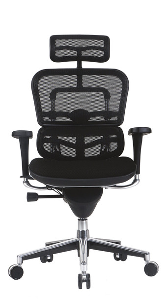 Ergo High Back Fabric Seat/Mesh Back chair by Eurotech