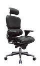 Ergo High Back Leather chair by Eurotech