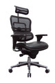 Ergo High Back Leather Seat Mesh Back chair by Eurotech