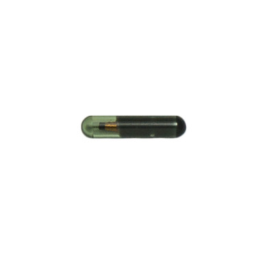 Megamos 48 Chip Transponder TP08 Glass for VW and more - 100-PACK